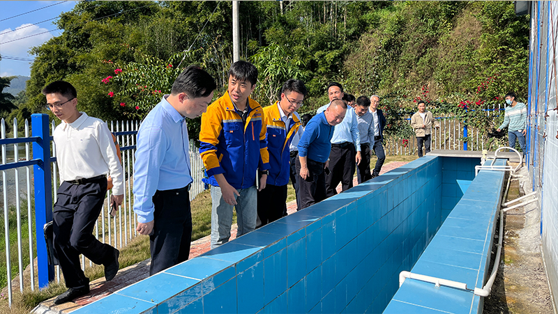 1702971566608050.jpg 00000000.jpg